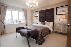 chestnut shadwell 12 sm.jpg